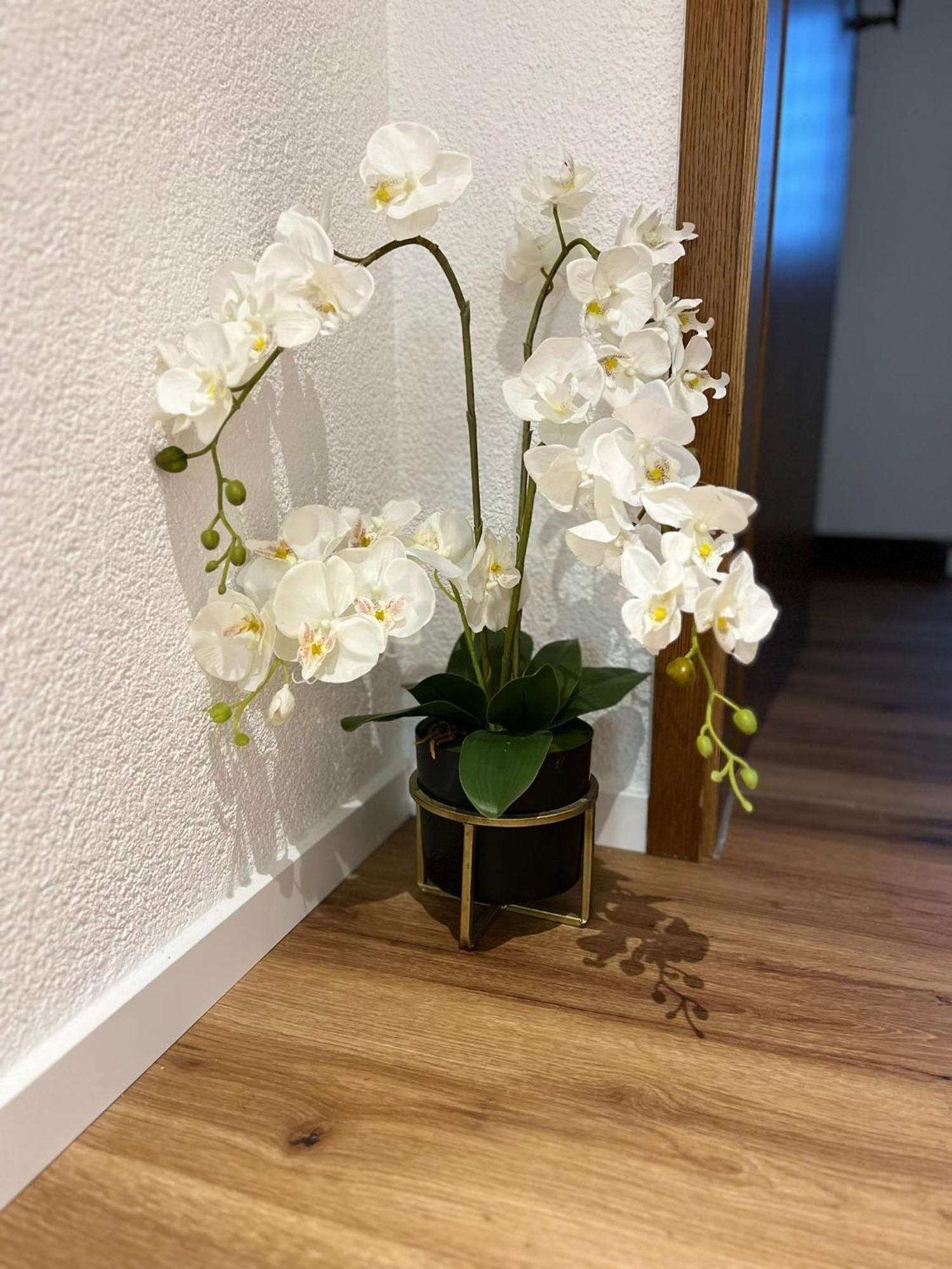 Ferienwohnung Eislingen Kültér fotó